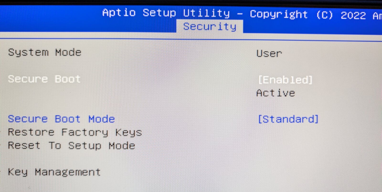 Mini PC UEFI firmware, Security tab of the AMI Aptio Setup Utility, showing Secure Boot set to Enabled and Active, with Secure Boot Mode on Standard.